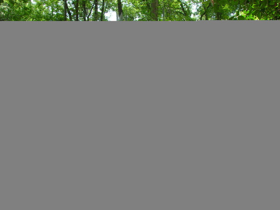 DSC00757