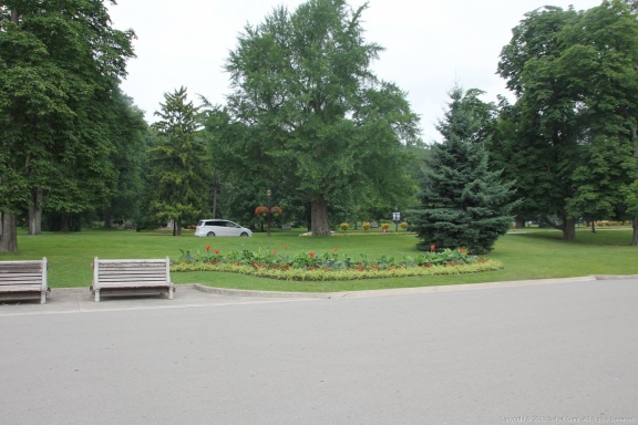 IMG 2010