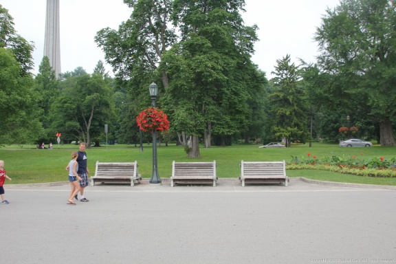 IMG 2011